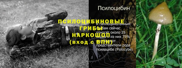 дурь Белокуриха