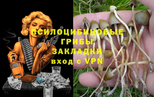 дурь Белокуриха