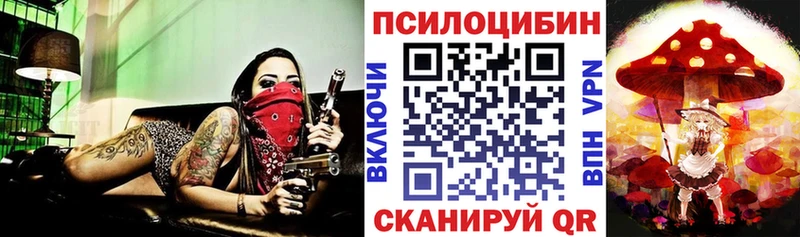 Галлюциногенные грибы Psilocybine cubensis  как найти наркотики  Севск 